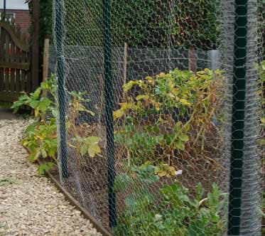 AG Wire Netting Pvc Coated Galvanised 10m X 500mm