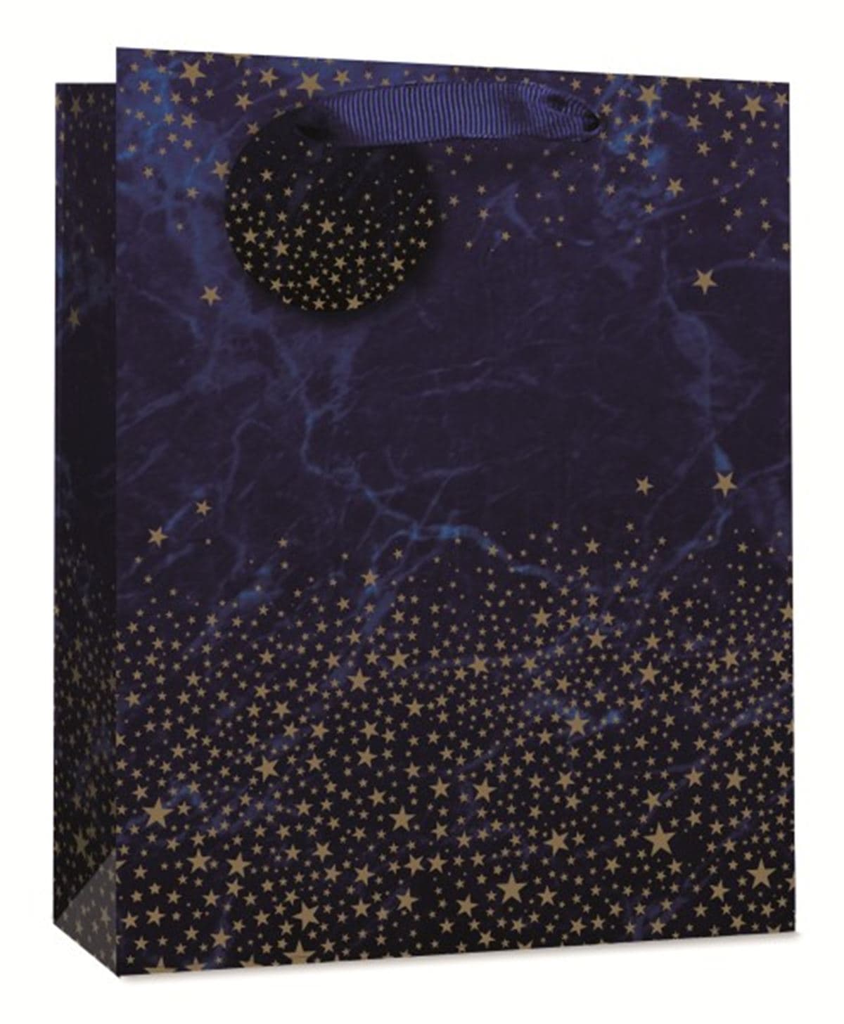 SE Holographic Foil Medium Gift Bags