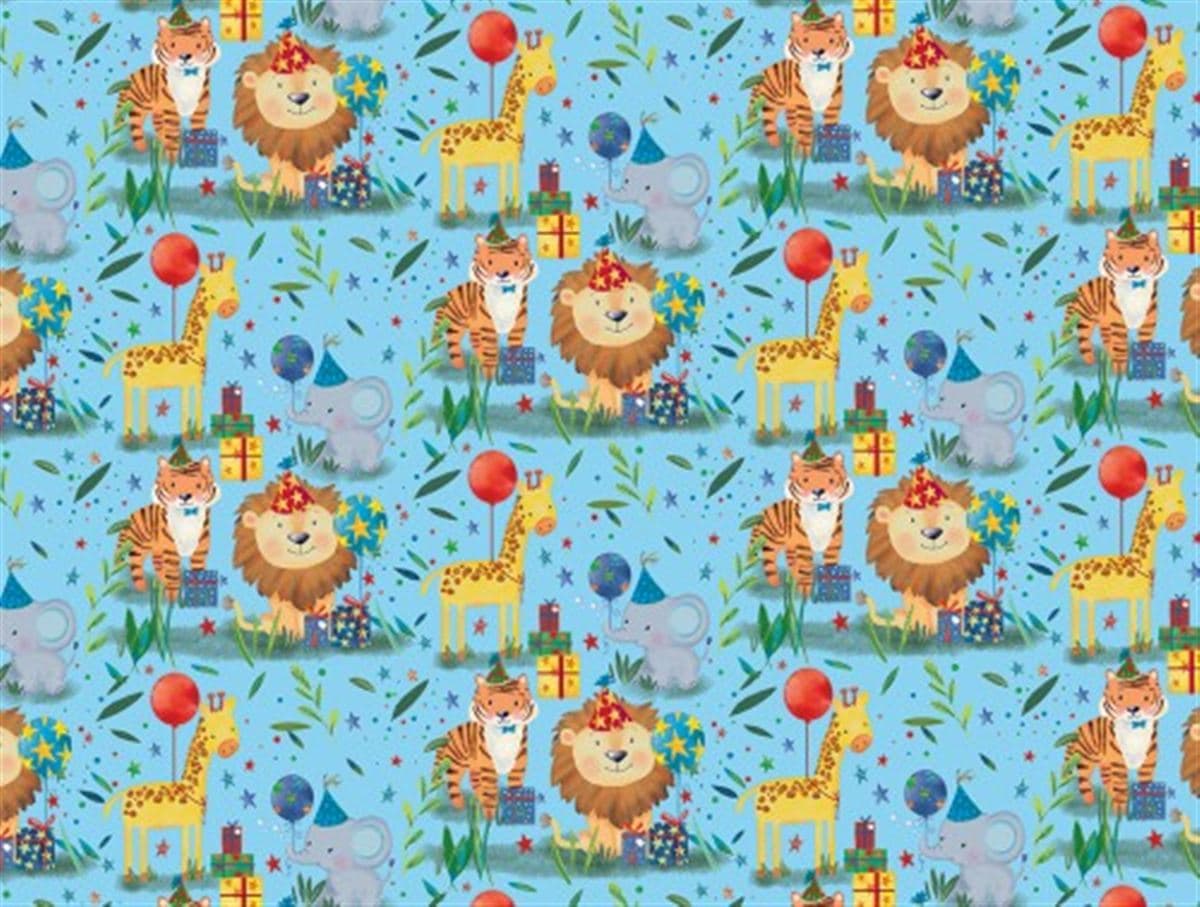 SE  Gift Wrap - Birthday Boy