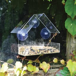 Window Bird Feeder 2