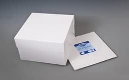 Cake Box with square Lids 			White 	10 INCH 2