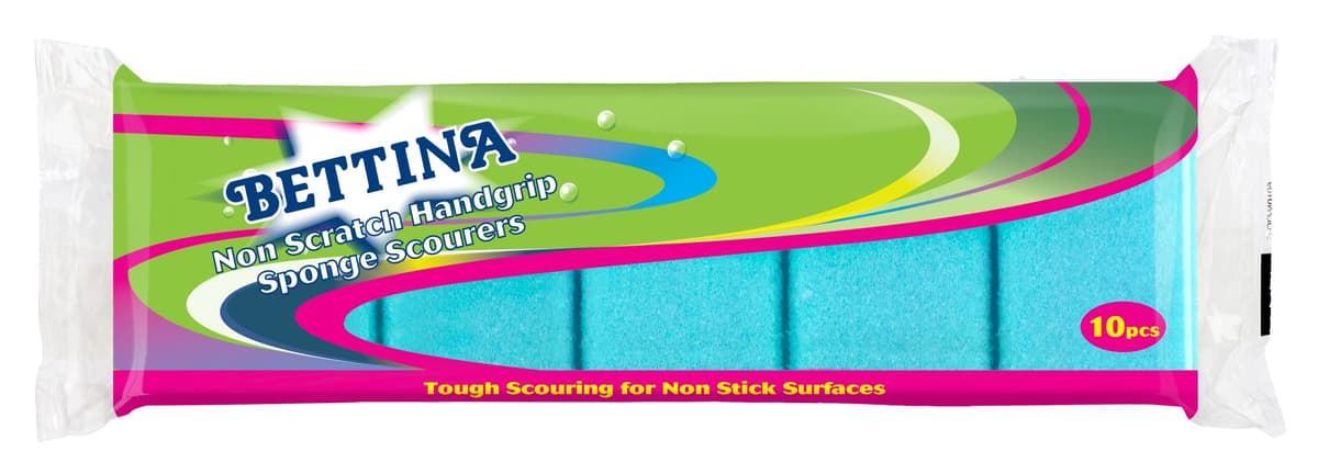 Bettina 10pc Shaped Sponge Scourer