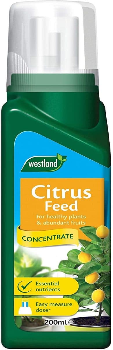 Westland Citrus Tree Feed Concentrate, 200 ml - 20100355