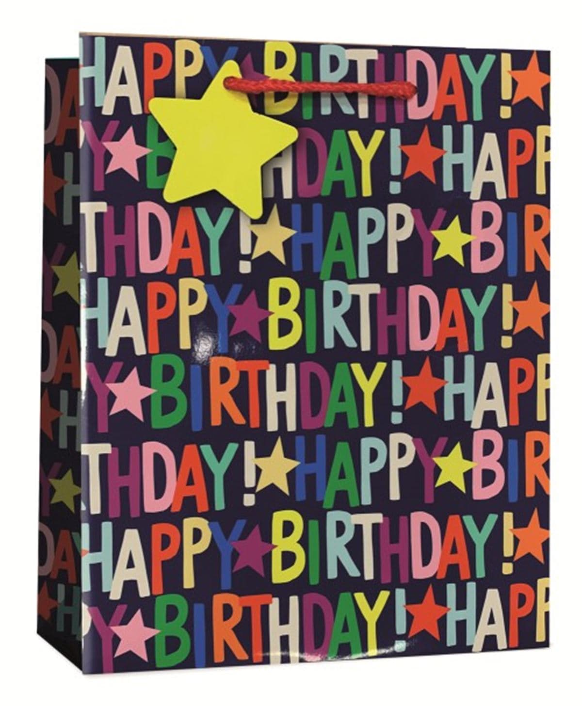 SE  Standard Large Bag - T C/o Large Gift Bag
