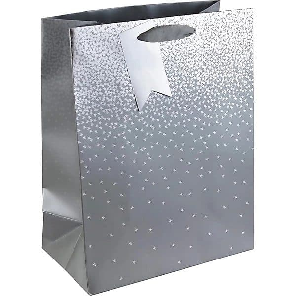 Silver ombre xl bag