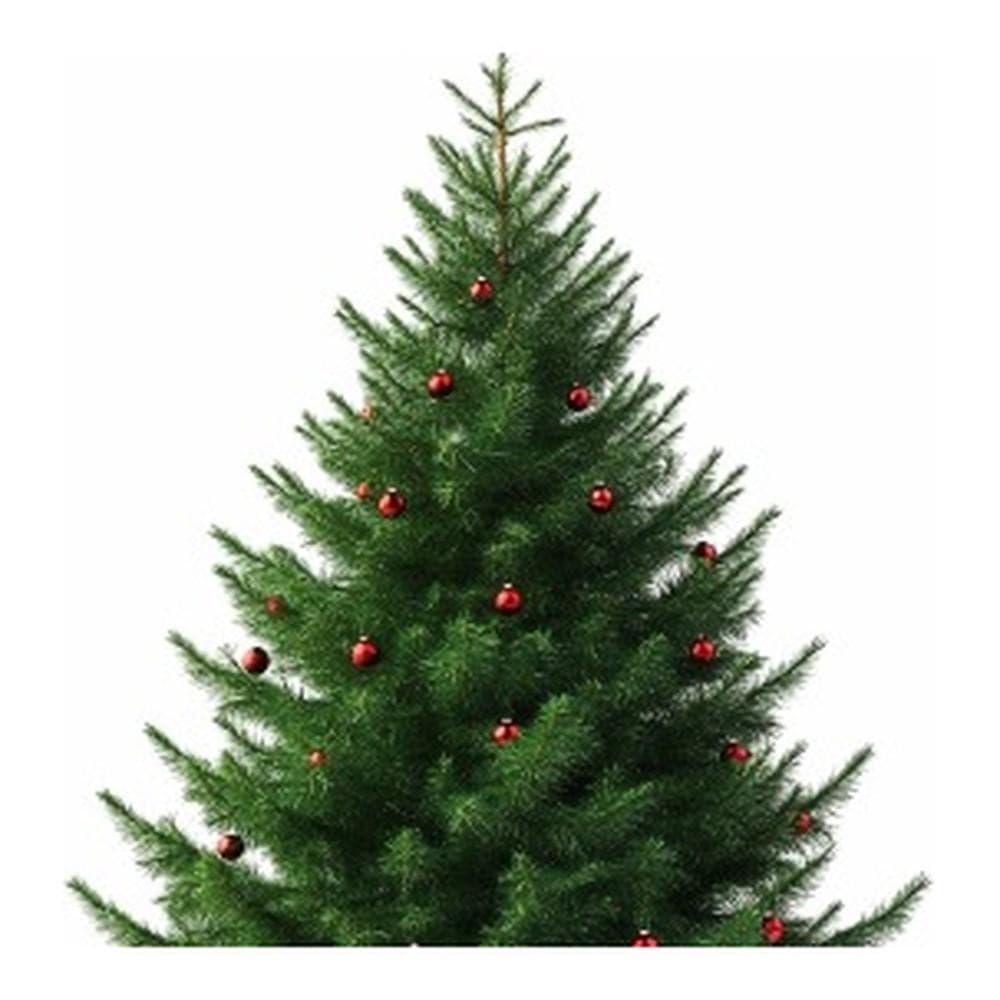 Christmas 150cm 600T Full Pointed +Red Fruit Pine Cone Tree