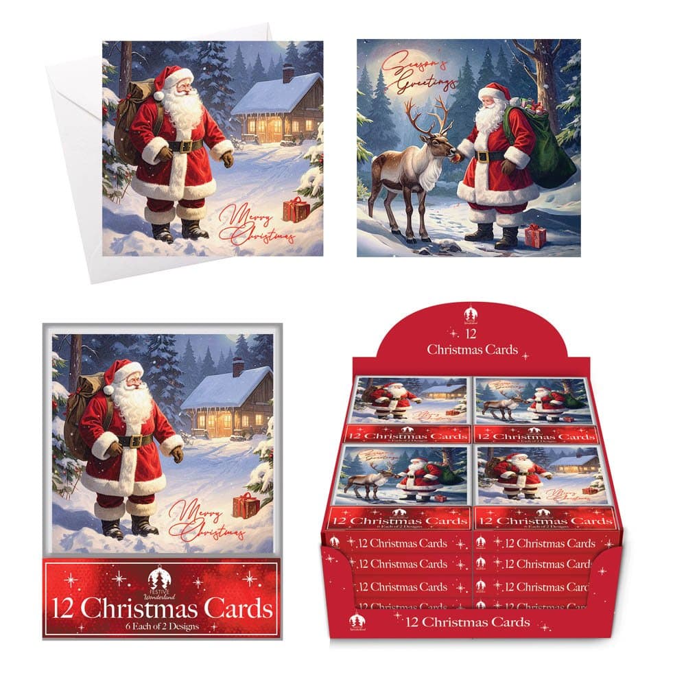 Tallon 12 XMAS Cards, Acetate Santa, Reindeer,Night