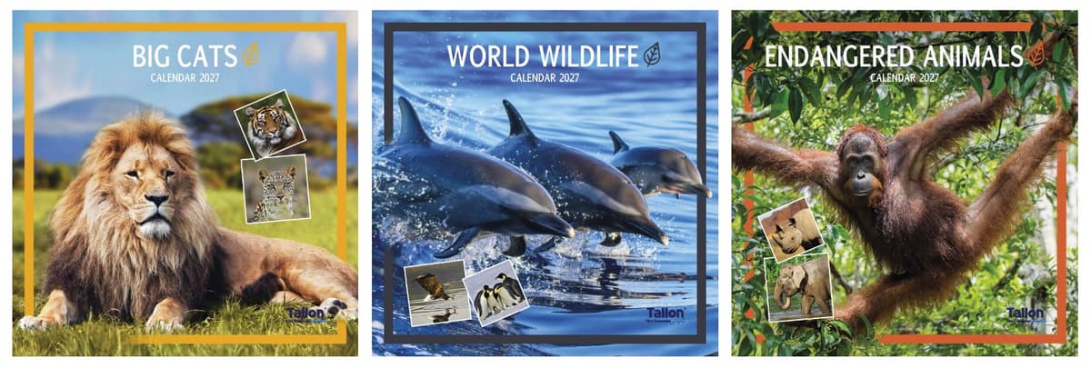 Tallon Calendar Sq Big Cats, Animals & W Wildlife