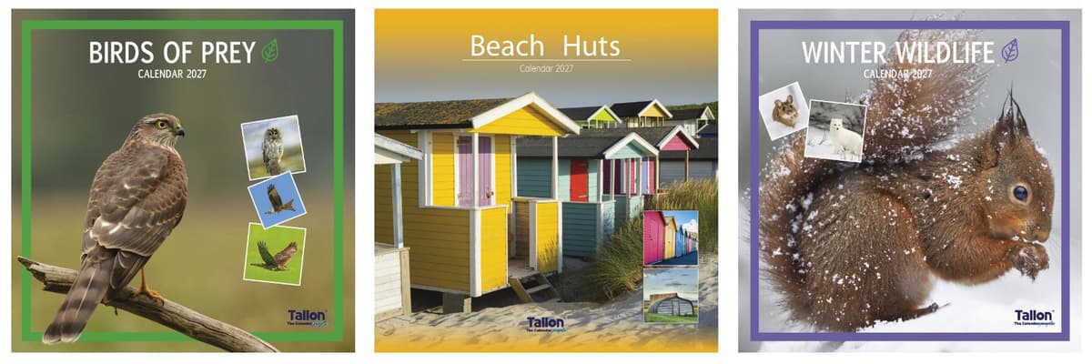 Tallon Calendar Sq Sea, Wildlife, Birds, Sealife