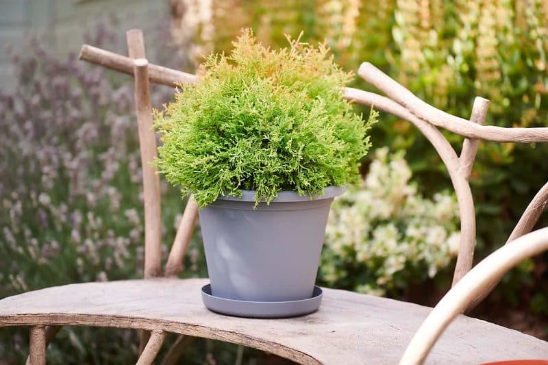 CLEVER POTS POT RESERVOIR 30CM pots