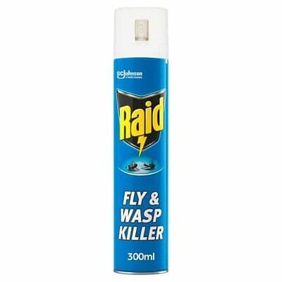 Raid Fly & Wasp Killer 300ml