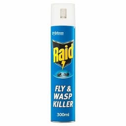 Raid Fly & Wasp Killer 300ml 1