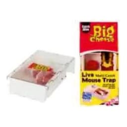 STV Muiti Mouse Trap Small (STV162) 2