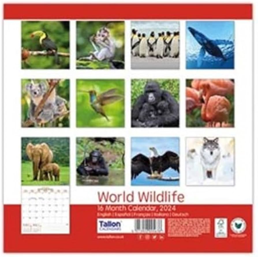 Tallon Square Calendar:Big Cats,Endangered Animals image