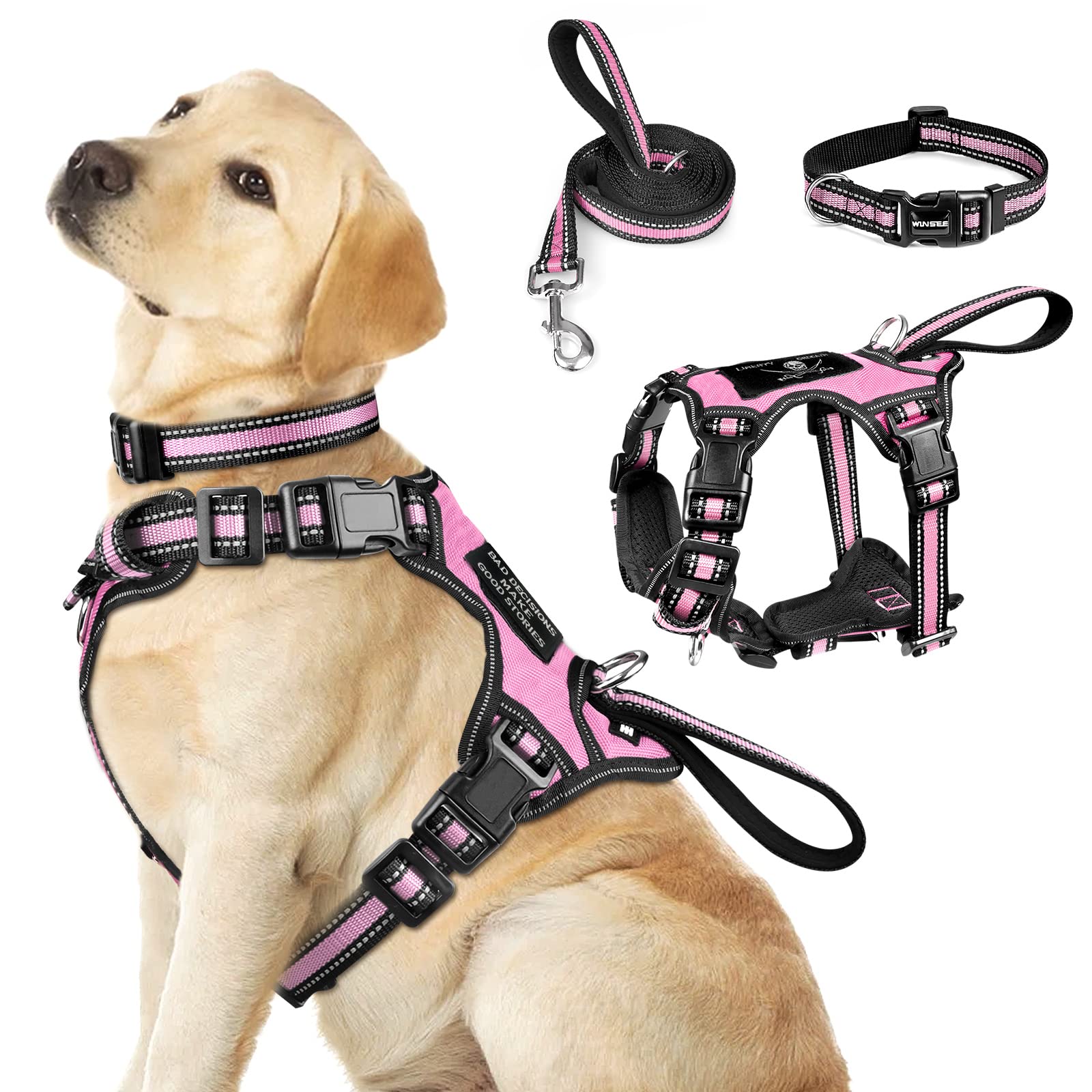 Dog Lead & Harness Set image