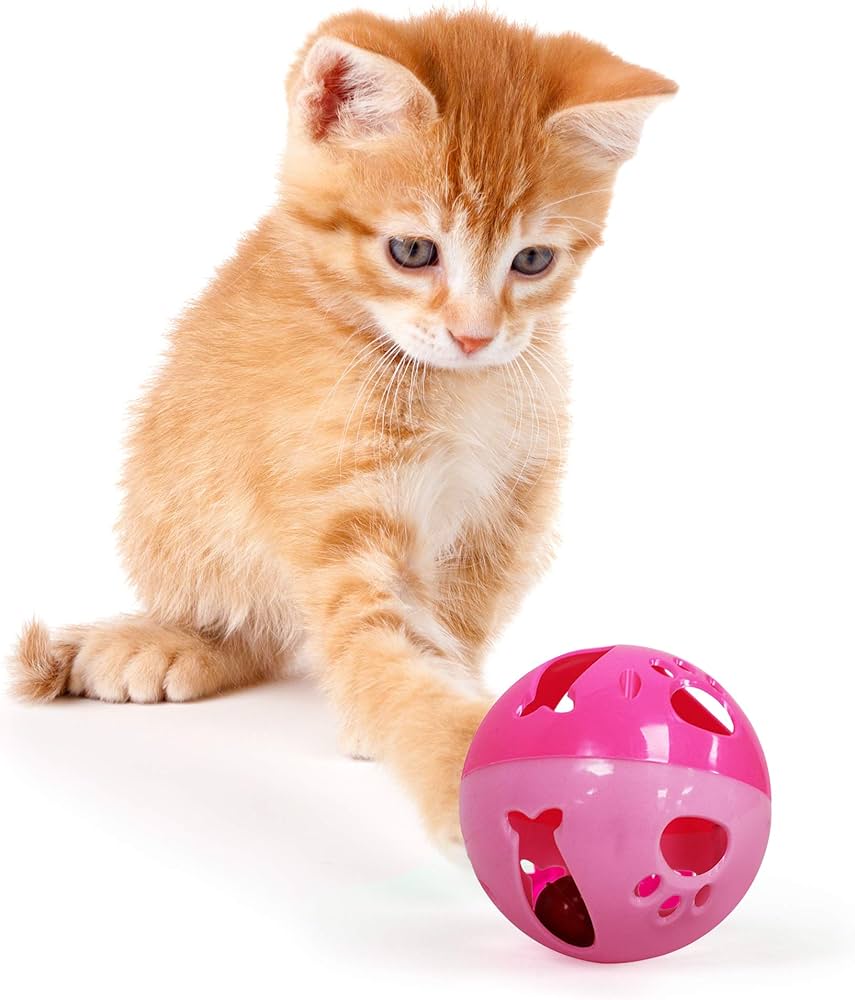 151 Pets Play  Ball Toy With Bell (pap1054) image