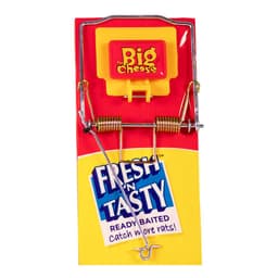 STV The Big Cheese Fresh Baited Rat Trap (STV195) 2