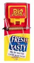STV The Big Cheese Fresh Baited Mouse Trap (STV194) 30PC