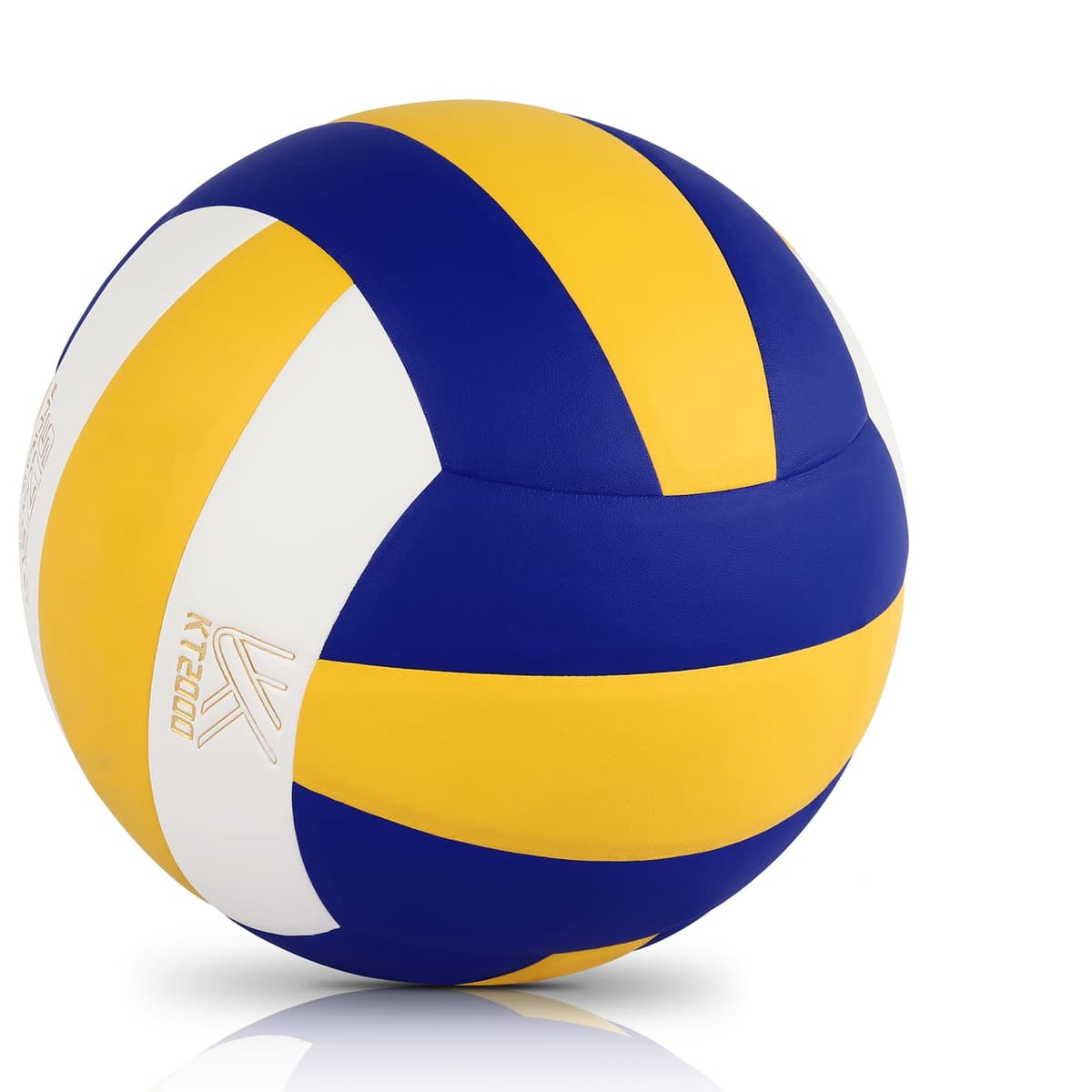 Volley Ball