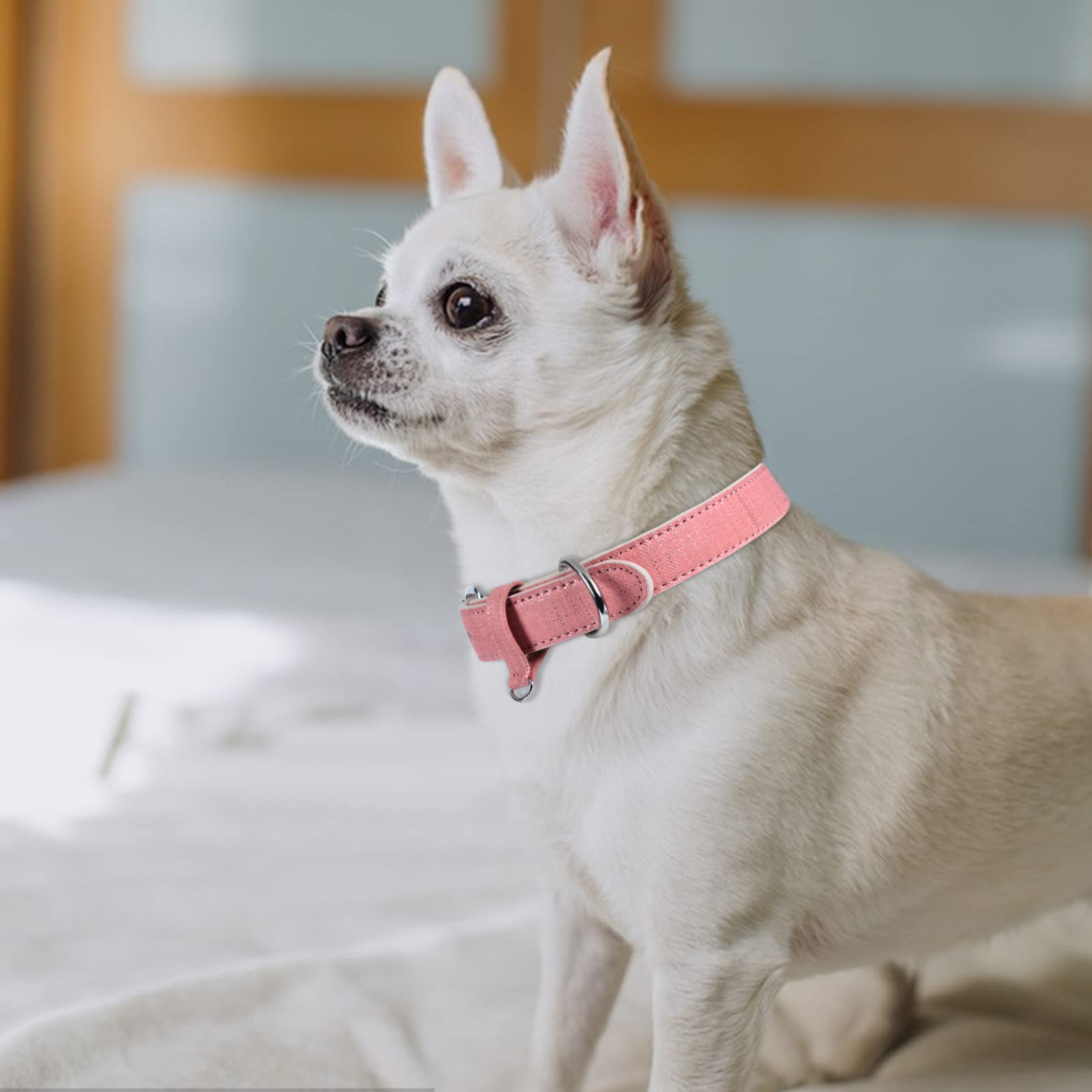 RSW Pu-dog Collar Small image