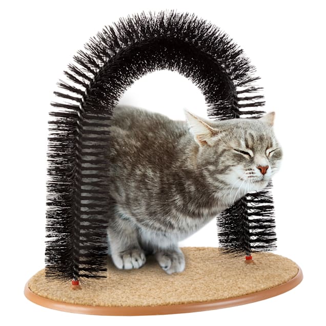 RSW Self Grooming Cat Arch image