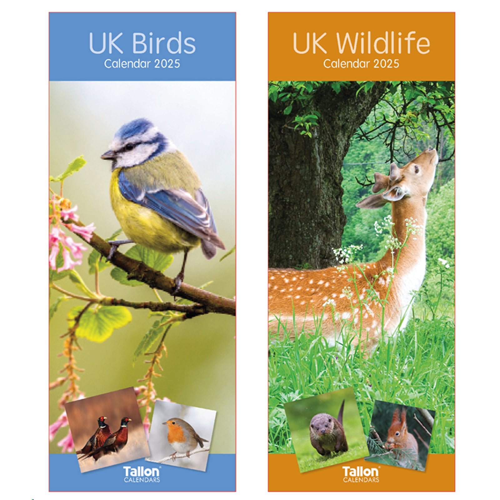 Tallon Super-slim Calendar: Nature Birds & Wildlife image