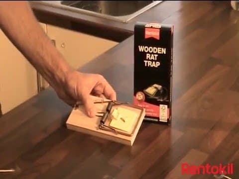 Rentokil  Wooden Rat Traps Pk6