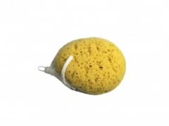 BC  Body Sponge