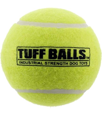 151 Pets Play  Tennis Balls 3pk (pap1025b) image