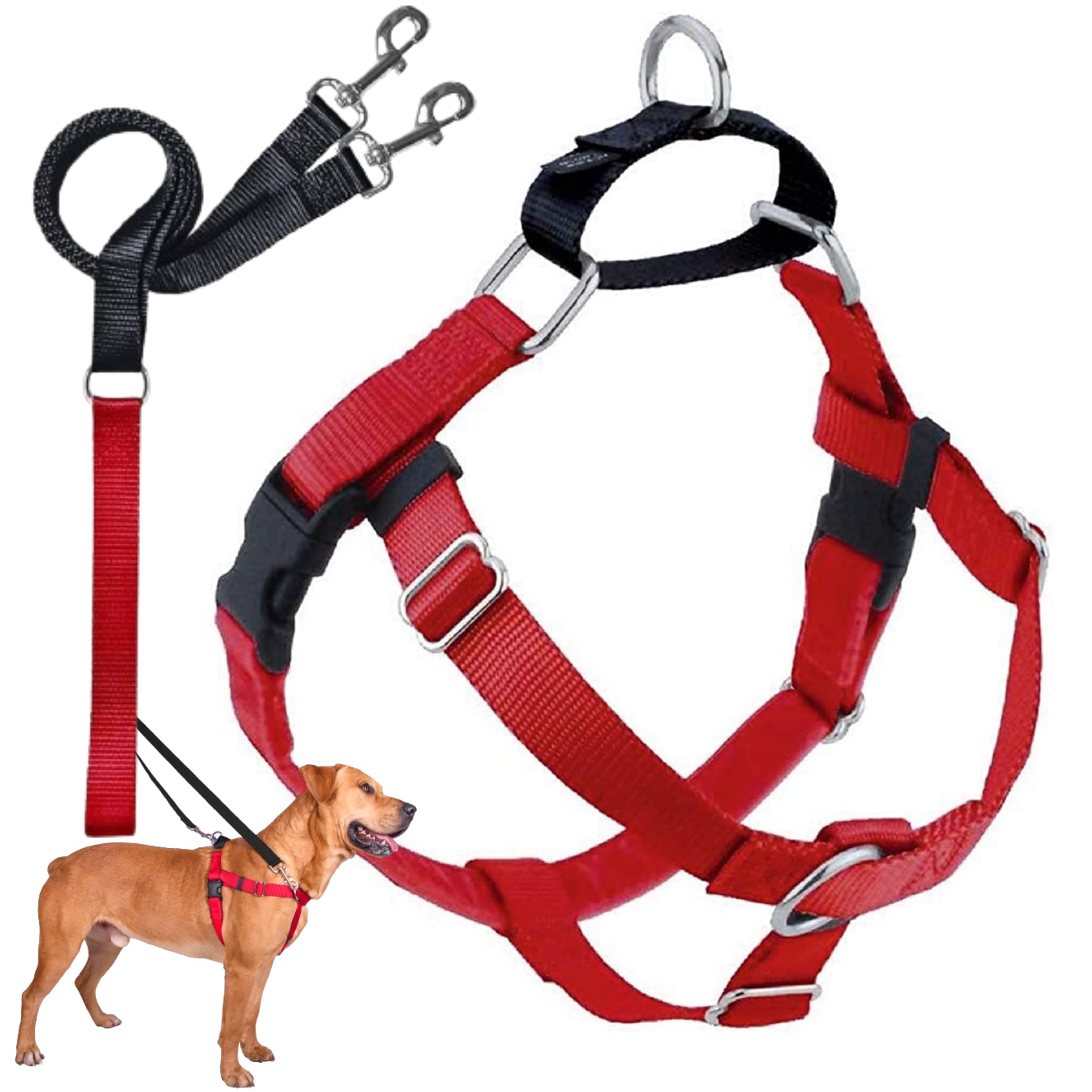 151 NEON DOG HARNESS & LEAD SET image