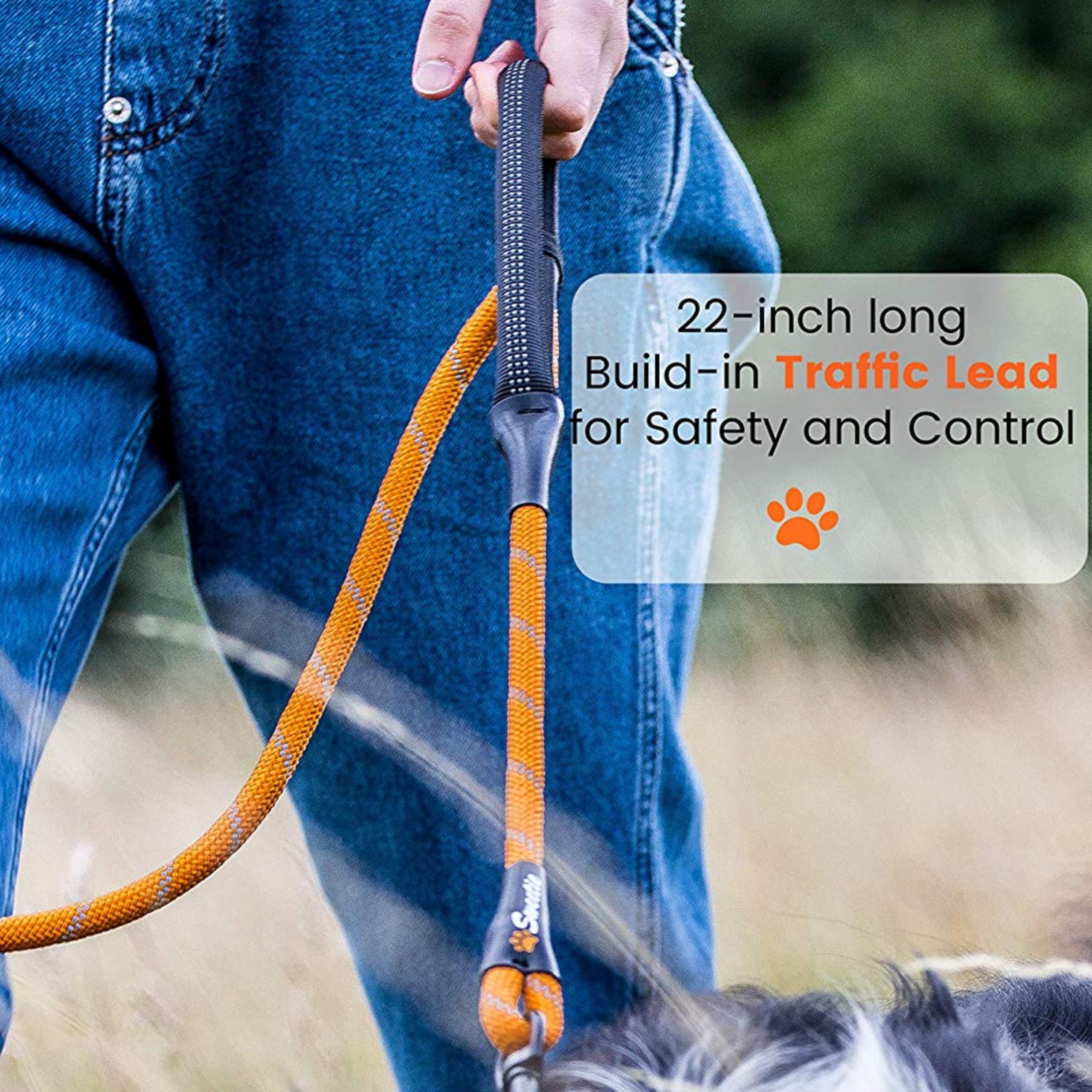 151 LARGE DOG LEAD image