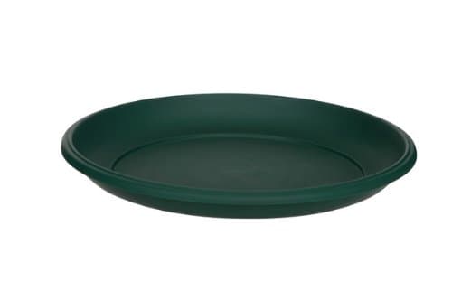 Whitefurze 34cm Milano Saucer F Green