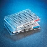 THERMO TB / FP  7" PLATES 15s