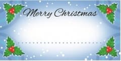 PLACE CARDS BLUE W/HOLLY 9.6 X 4.8CM