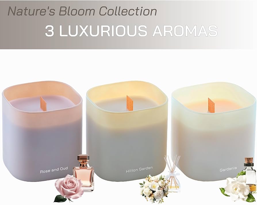 OTL Bloome Winter Fragranced Three Tier Scented Candle  Pk Of 12 image