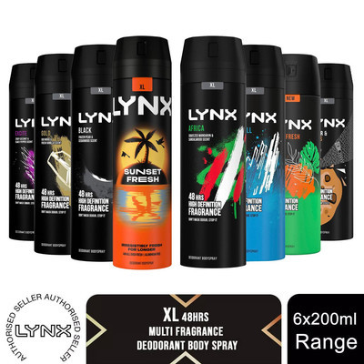 Lynx B/Spray YOU  200ml image