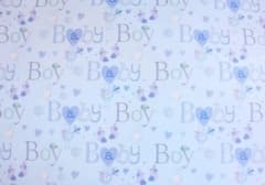 SE  Baby Boy Gift Wrap