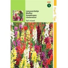 Flower seeds- Assorted