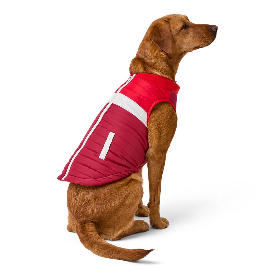 Progress Practical Dog Red image