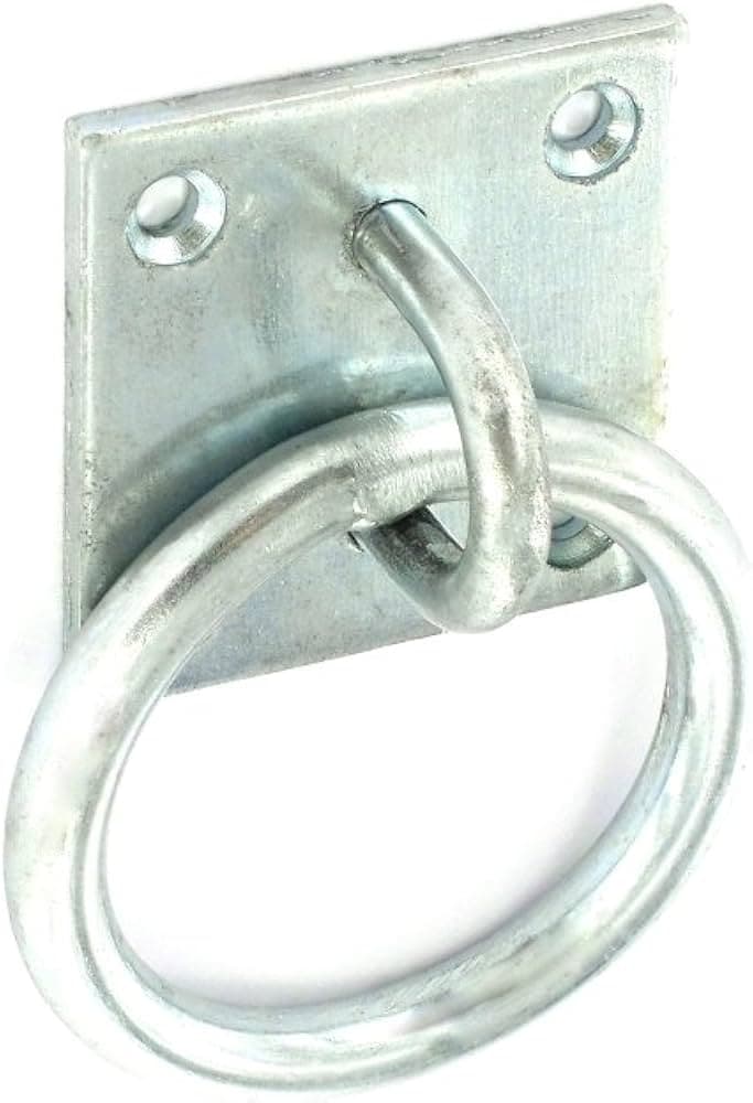Ring on plate ZP 50mm
 


