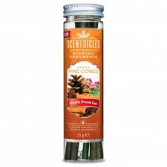 @Spiced Pine Cones ScentSicles 6 piece Bottle in CDU