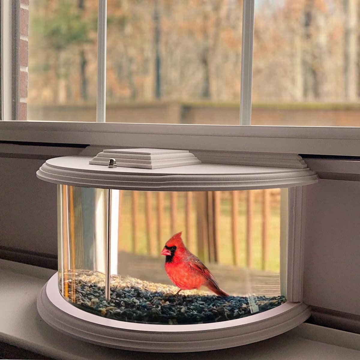 Window Bird Feeder