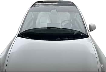 Dunlop Car sun visor film (06254) image