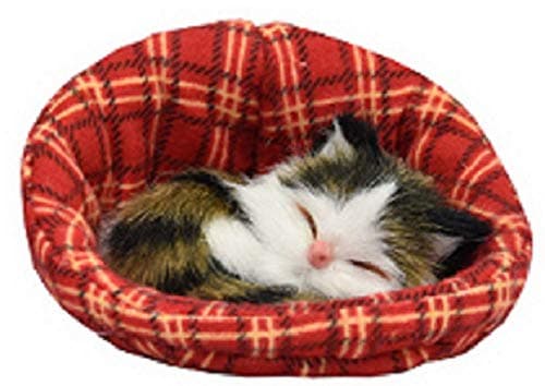 Kandy Toys Small Kittens In Basket 6 Assorted