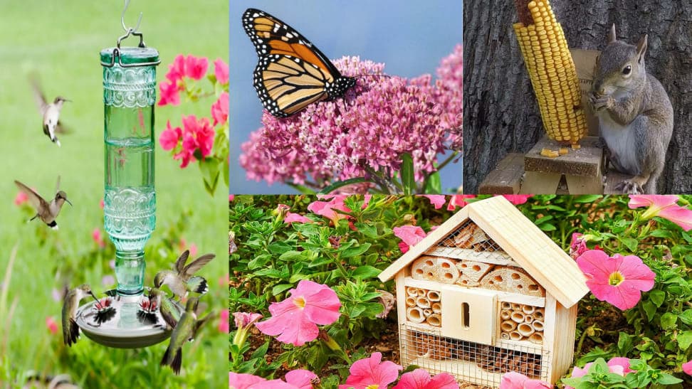 WILDLIFE ATTRACTING Collection