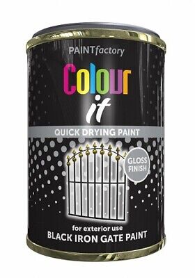 Black Iron Gate Paint Tin 300ml image