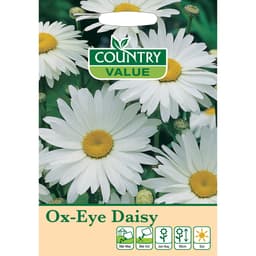 Country Value OX-EYE Daisy 1