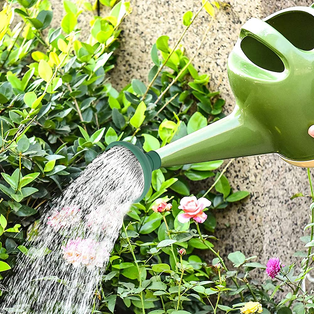 NT Watering Can Rose image