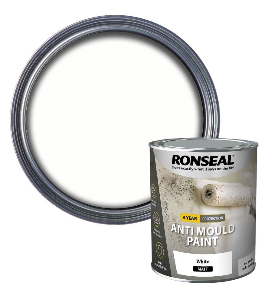 Ronseal Fungicidal Wash 2.5ltr