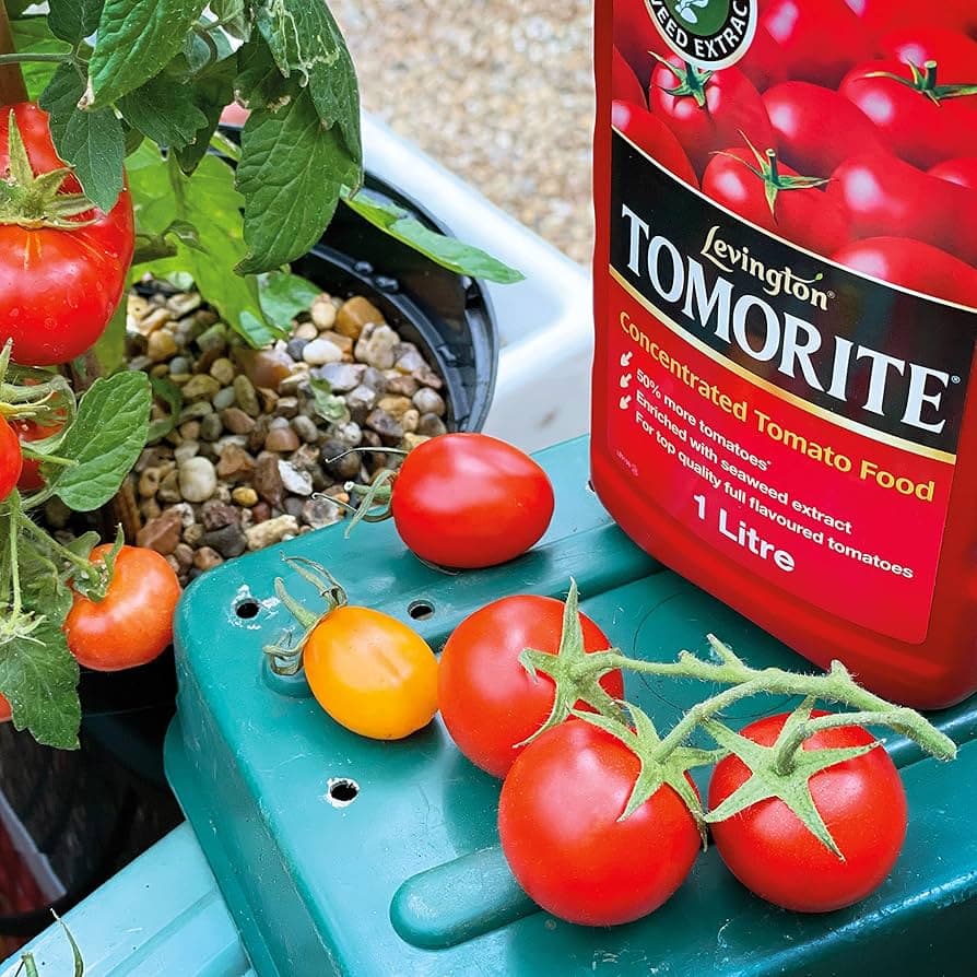 Evergreen Levington Tomorite 1 Litre
